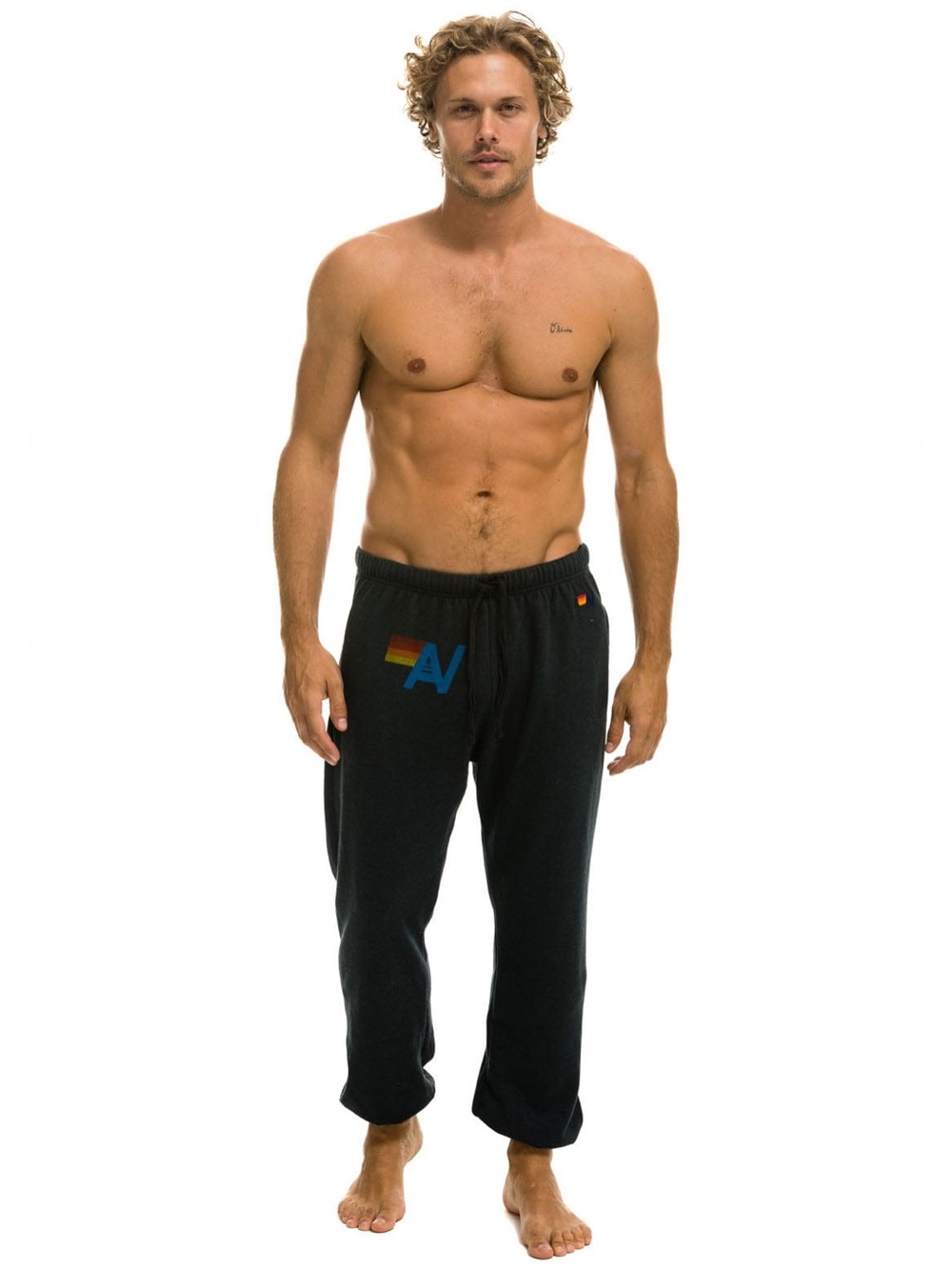 Aviator nation LOGO SWEATPANTS - CHARCOAL size medium
